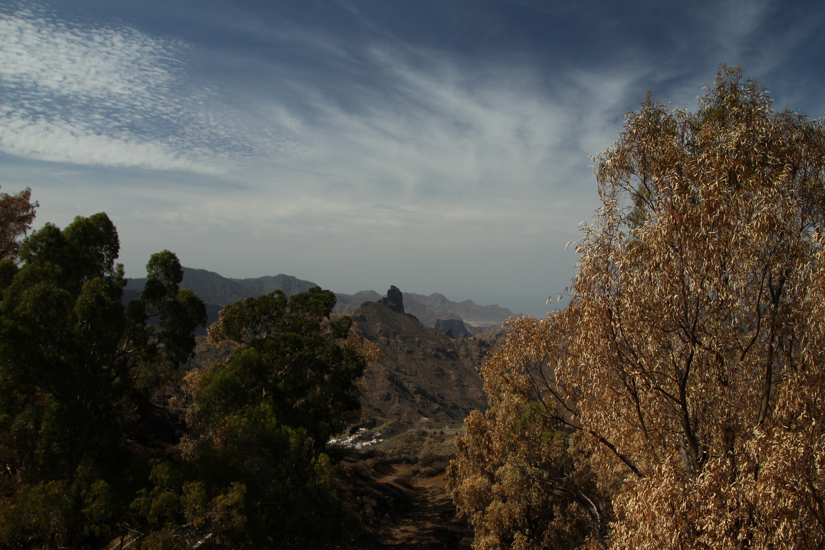 Roque nublo