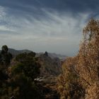 Roque nublo