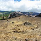 Roque Nublo _Die Platte