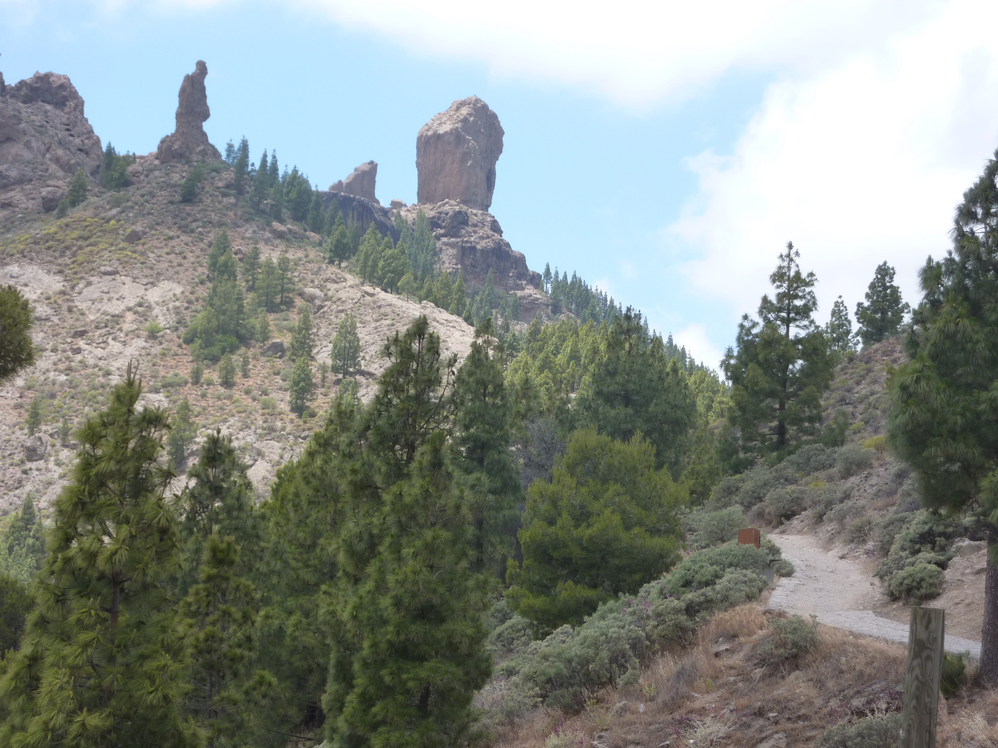 Roque Nublo