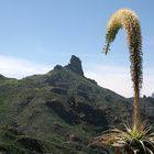 ROQUE NUBLO GRAN CANARIA