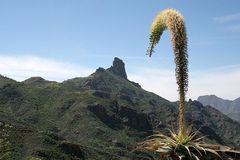 ROQUE NUBLO GRAN CANARIA