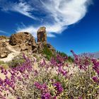 Roque Nublo Gran Canaria 