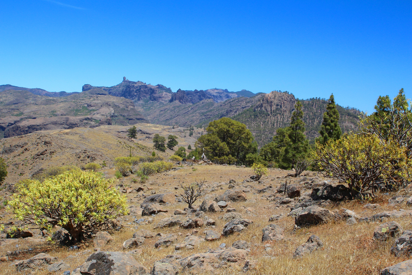 Roque Nublo und das Zentalmassiv von Westen gesehen!