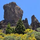 Roque Nublo "von hinten"