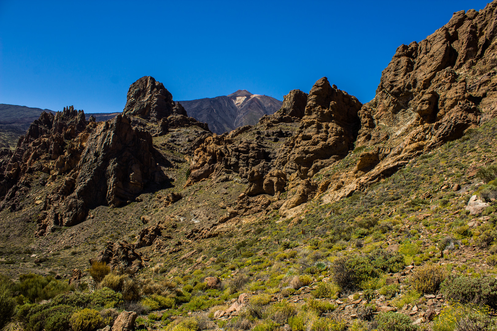 Roques de Garcia Teide