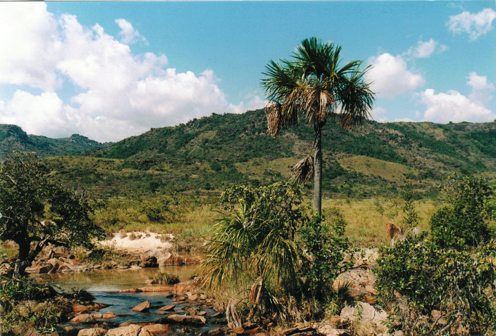 Roraima