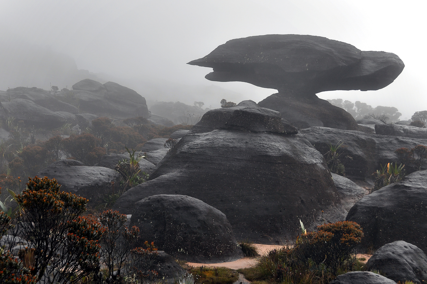 Roraima Tafelberg - the lost world