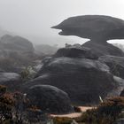 Roraima Tafelberg - the lost world