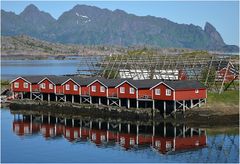 Rorbu-Spiegelung in Svolvaer