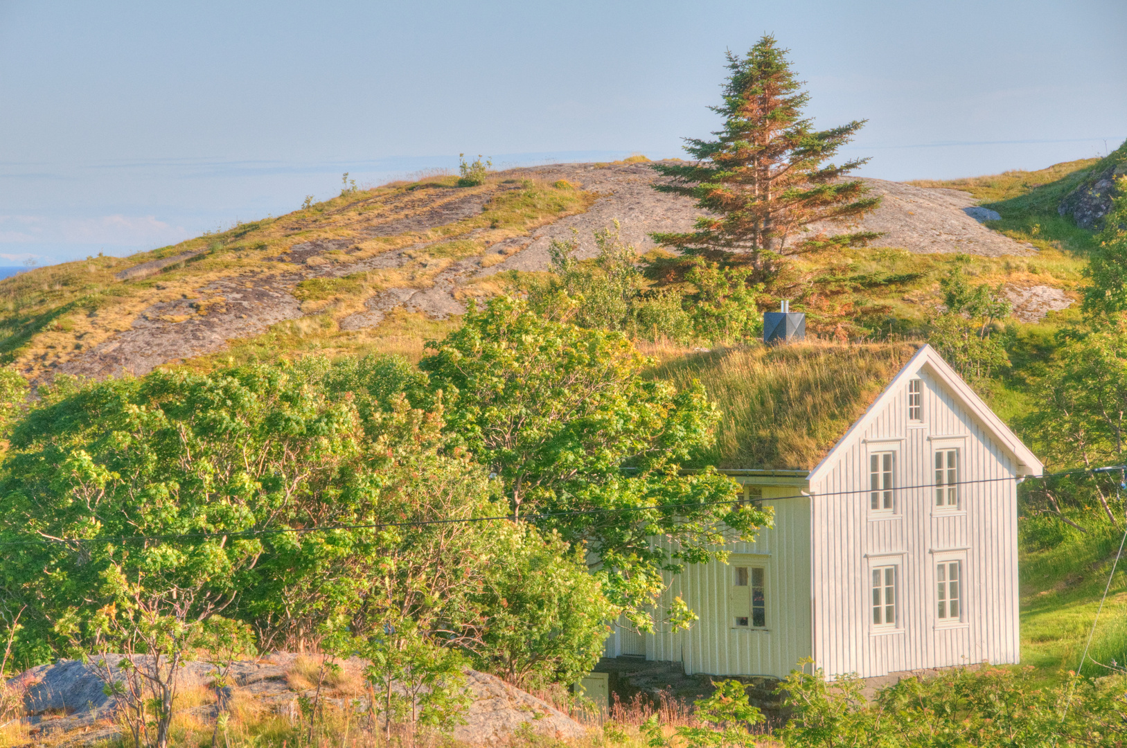 Rorbu végétalisé . Henningsvær. Lofoten . NORWAY.