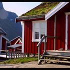 Rorbuer in Reine