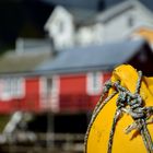 Rorbur in Lofoten Islands (Norway)