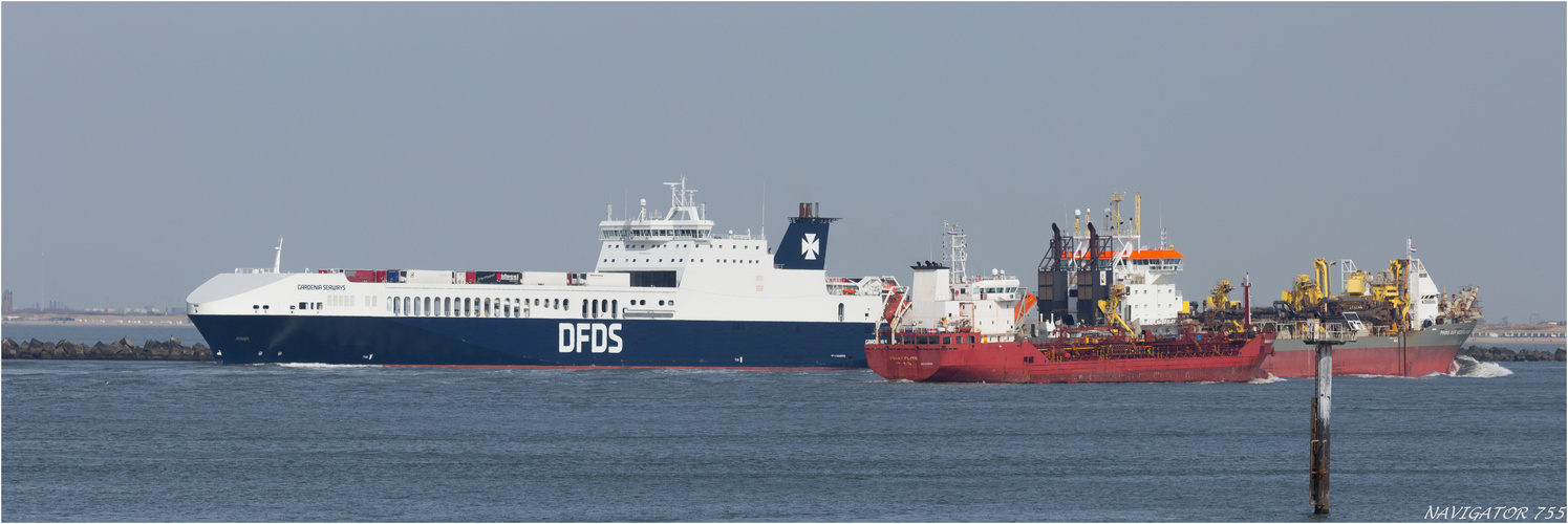 RoRo Ferry GARDENIA SEAWAYS, Rotterdam