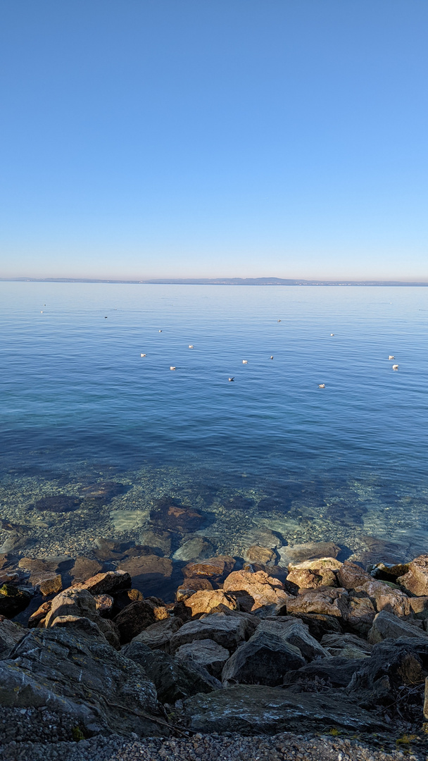 Rorschach - Bodensee