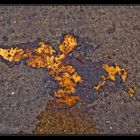 rorschach-rost