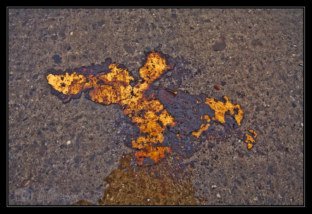 rorschach-rost