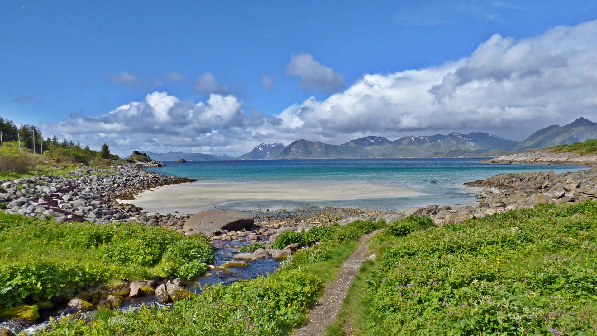 RORVIKA NAHE HENNINGSYAER - LOFOTEN