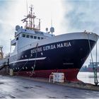 ROS 786 GERDA MARIA