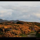 Ros Na Finna - Path to Paradise - Irland County Mayo