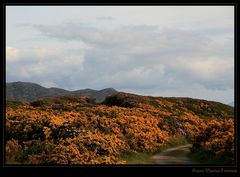 Ros Na Finna - Path to Paradise - Irland County Mayo