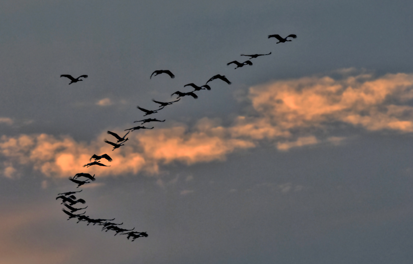 Rosa Abendwolken...