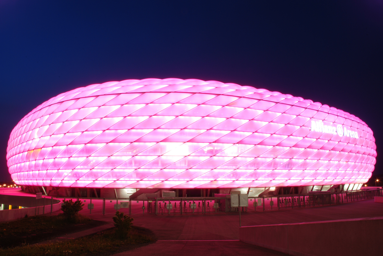 Rosa Allianzarena