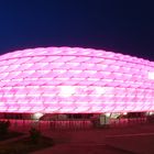 Rosa Allianzarena