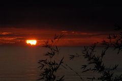 Rosa Beach Sunrise