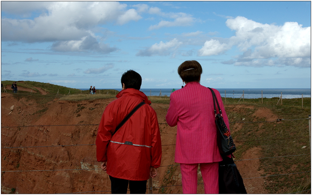 ... Rosa besucht Helgoland ...