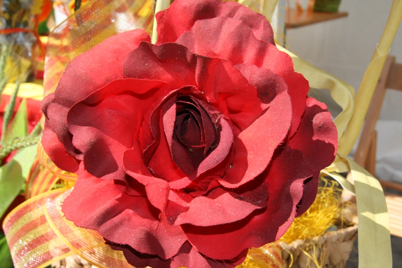 rosa de papel