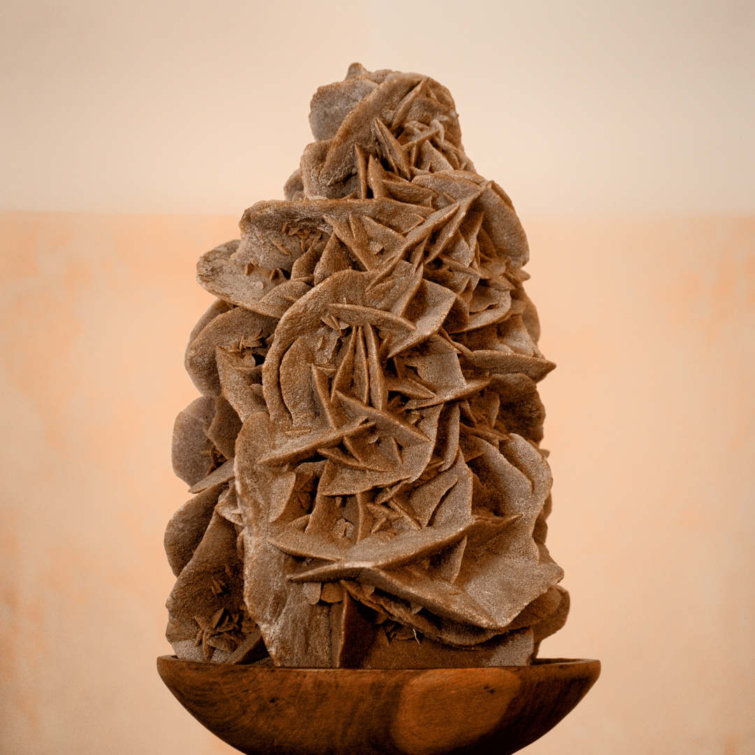 rosa del deserto Foto Immagini still life, rosa del deserto
