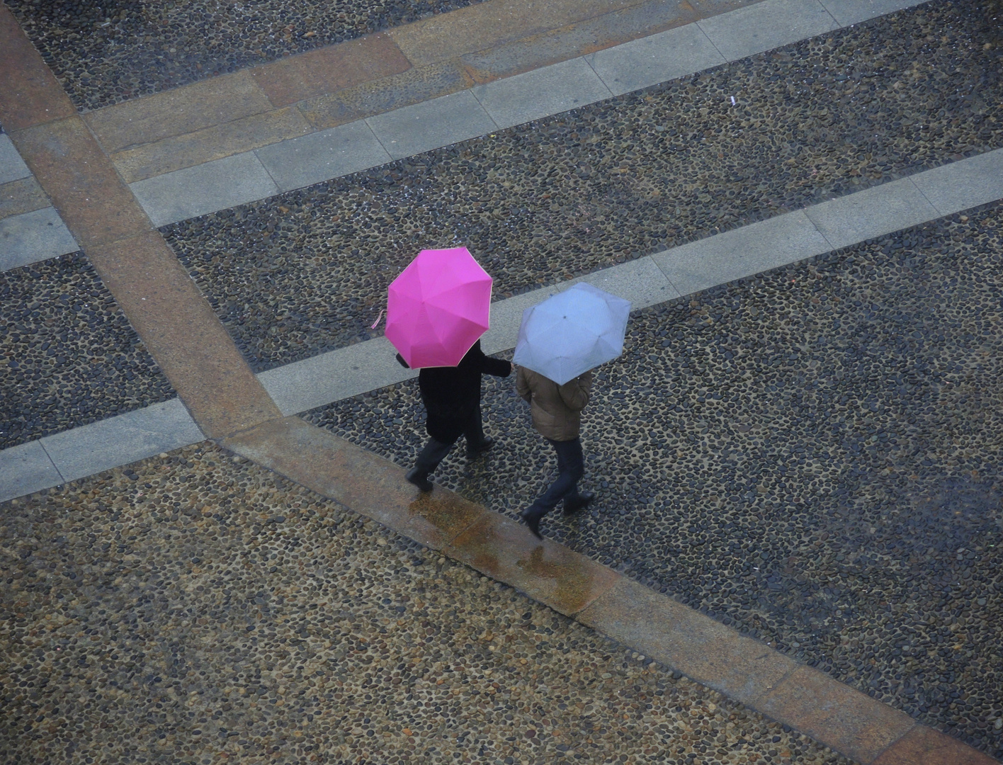 Rosa e azzurro