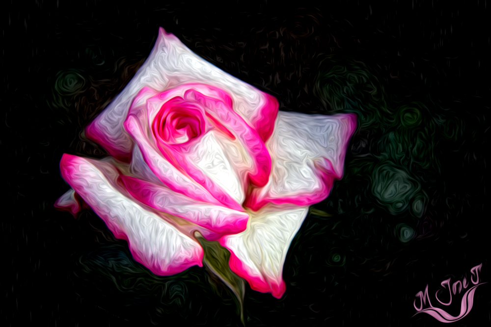 Rosa en el Botanico