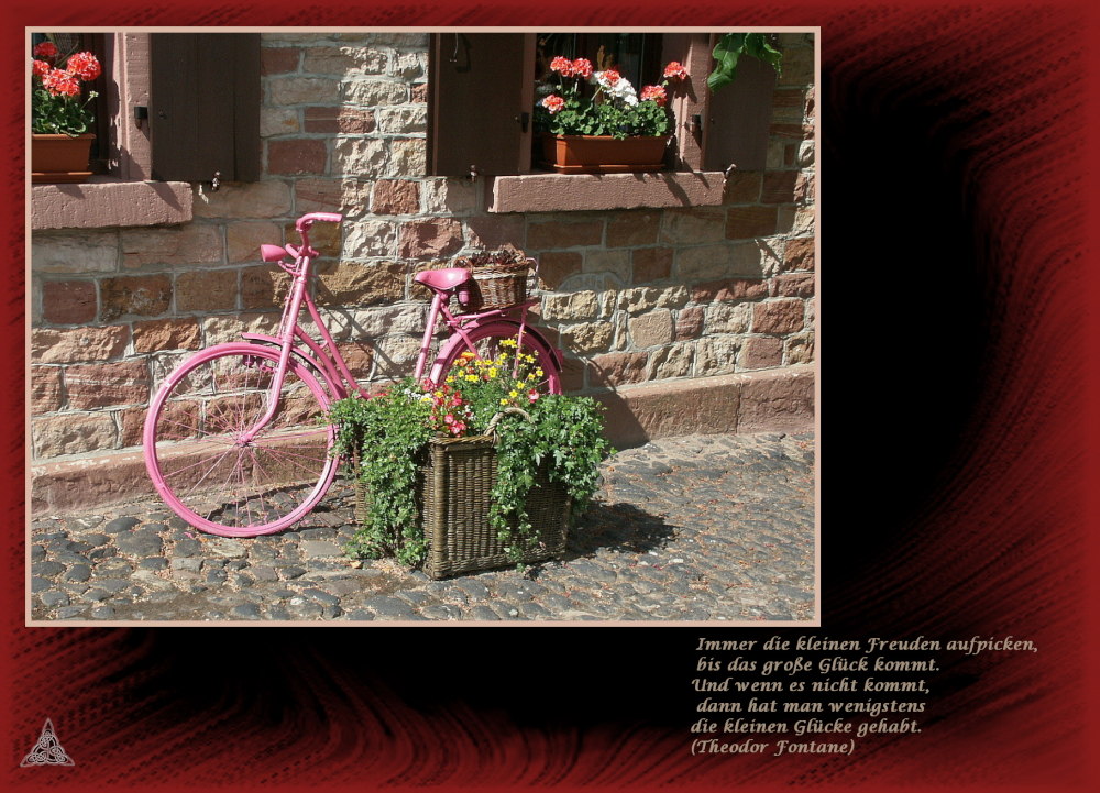 Rosa Fahrrad #2