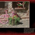 Rosa Fahrrad #2