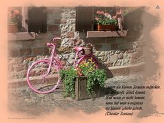 Rosa Fahrrad - Remake