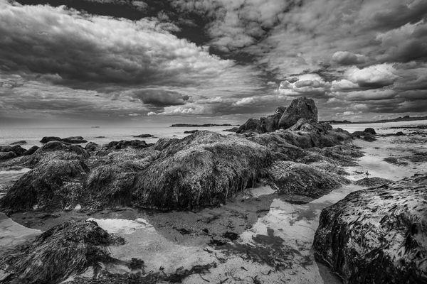 Rosa Granitku?ste in SW