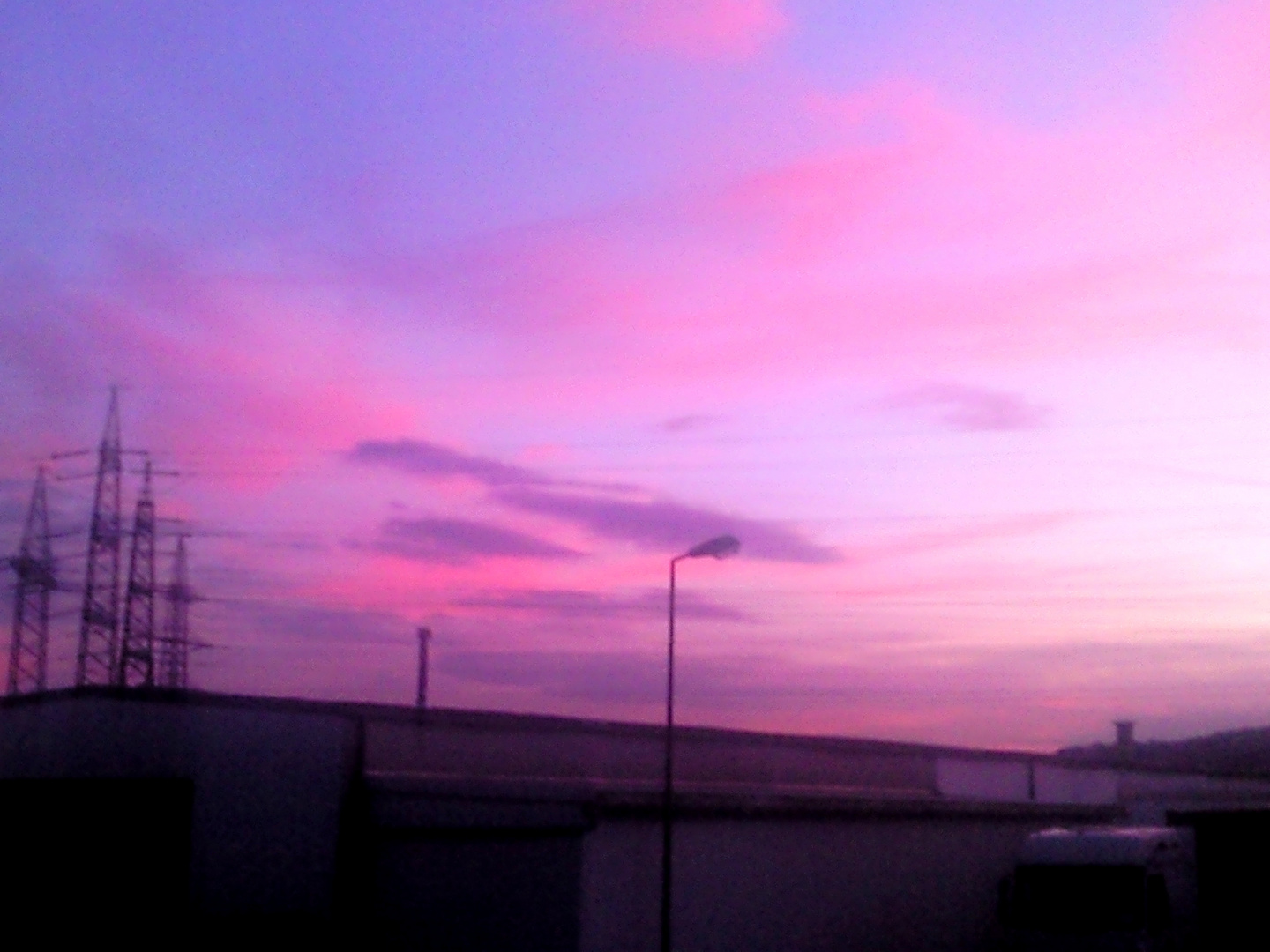 Rosa Himmel Molly Sanden