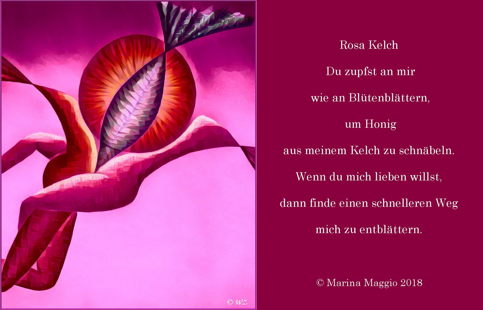 Rosa Kelch