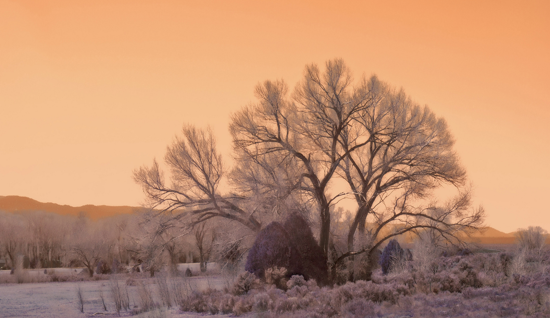 Rosa Landschaft