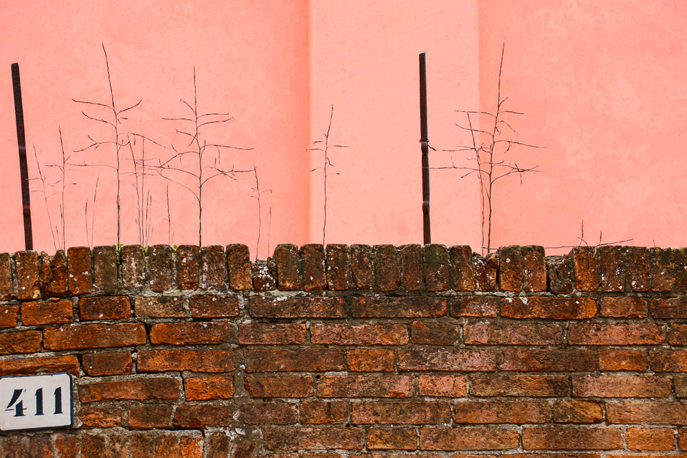 Rosa Mauer hinter Ziegelsteinmauer