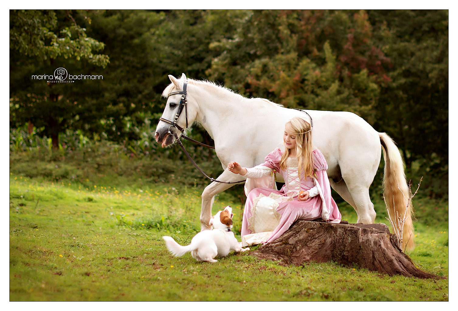 Rosa & Romeo & der Hund Micky