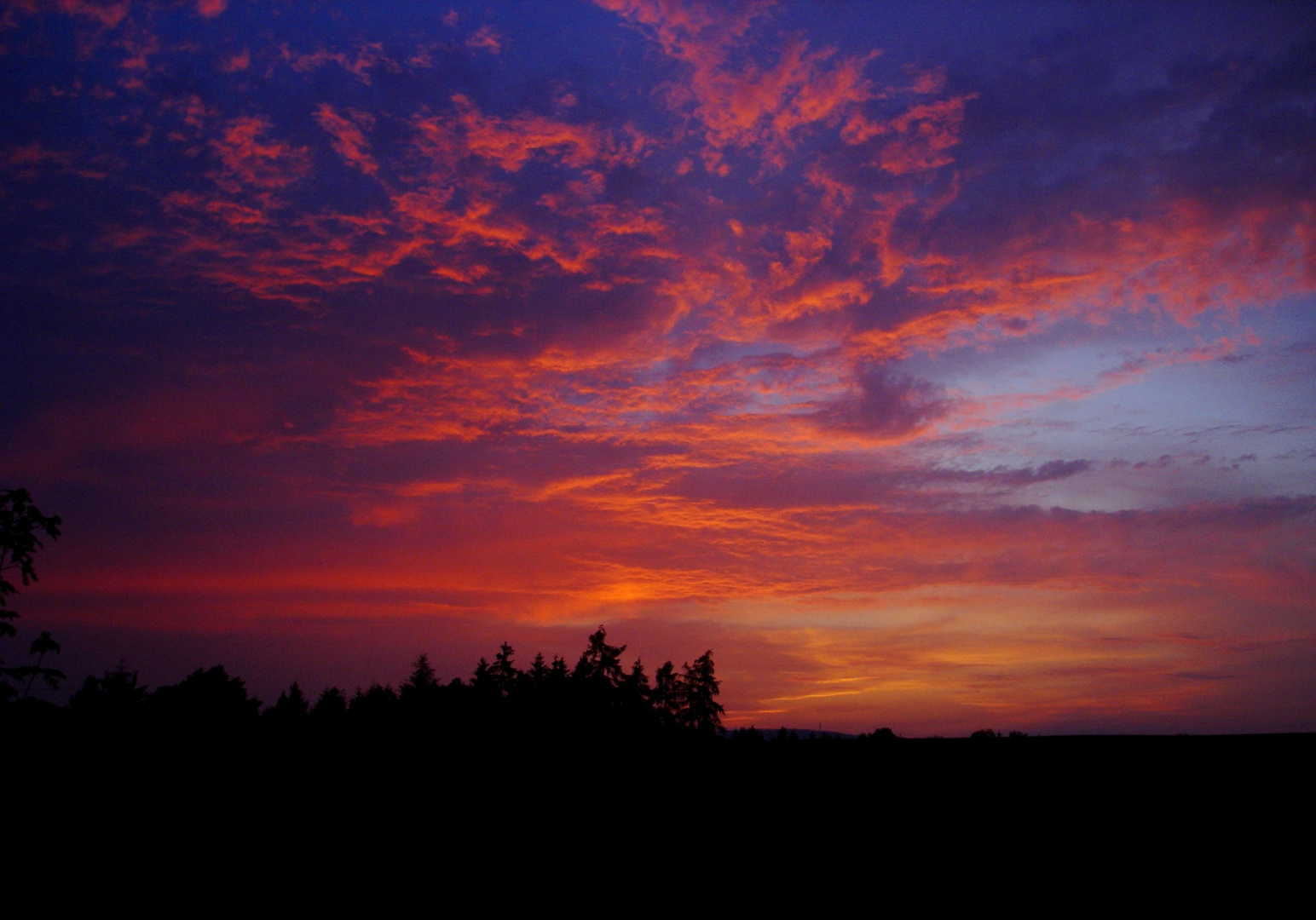 rosa-rote Schäfchenwolken