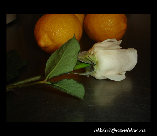 Rosa the lemons