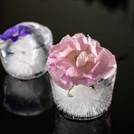 ROSA und Blau auf Acryl  