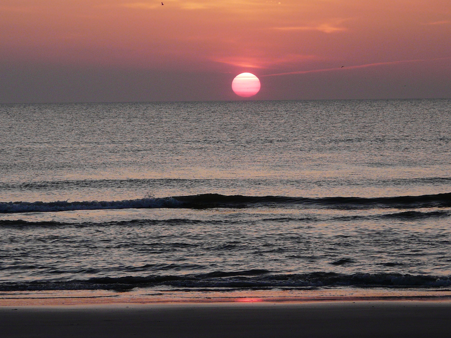 Rosa versinkt die Sonne im Meer