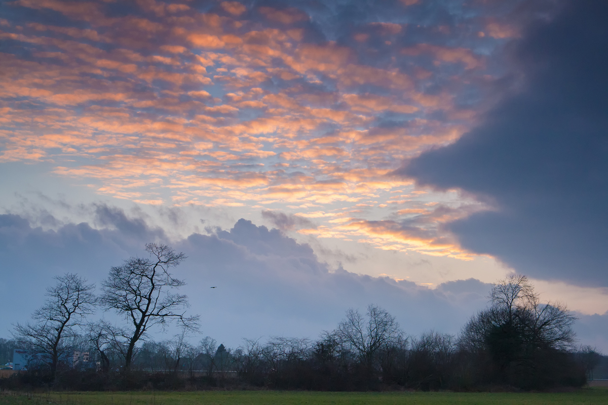 Rosa Wölkchen am Abendhimmel