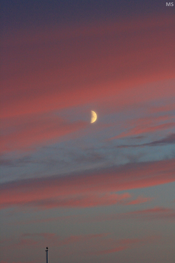 rosa wolken, blauer himmel, weiß/gelber mond.