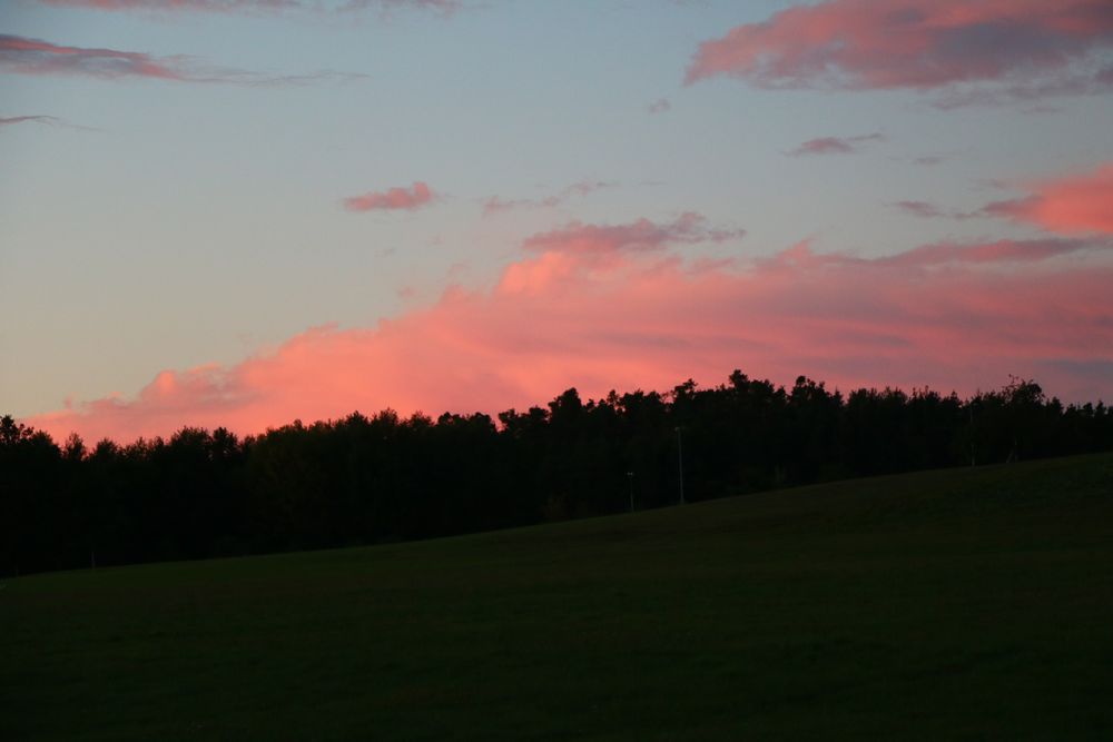 rosa Wolken im Herbst